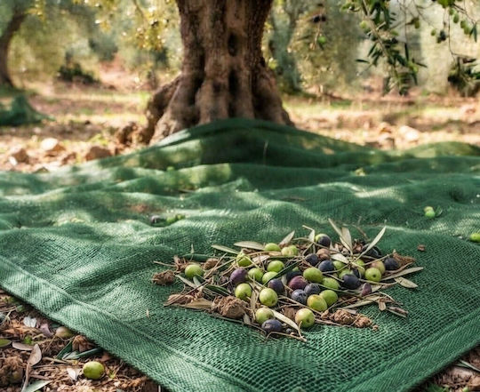 Kraft World Olive Harvesting Net from HDPE 5x10m Density 95gr/m²
