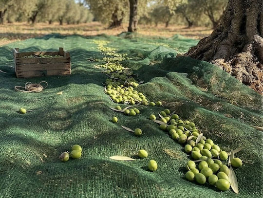 Kraft World Olive Harvesting Net from HDPE 8x14m Density 95gr/m²