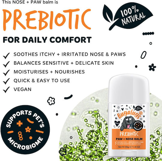 Prebiotic Balm Paws & Nose Dogs Stick Form 40gr