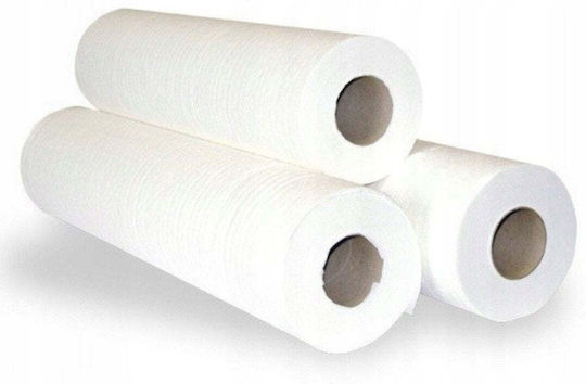 Debiut Plus Professional Absorbant Medical De Unică Folosință Din Celuloză 60cm X 80m Alb