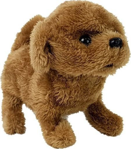 Lean Toys Interactive Toy for 3+ Years