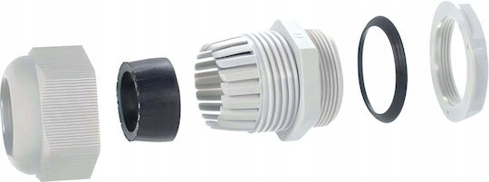 Pawbol Drüse Metrisch D.3088 Mutter M12 Ip67 Grau