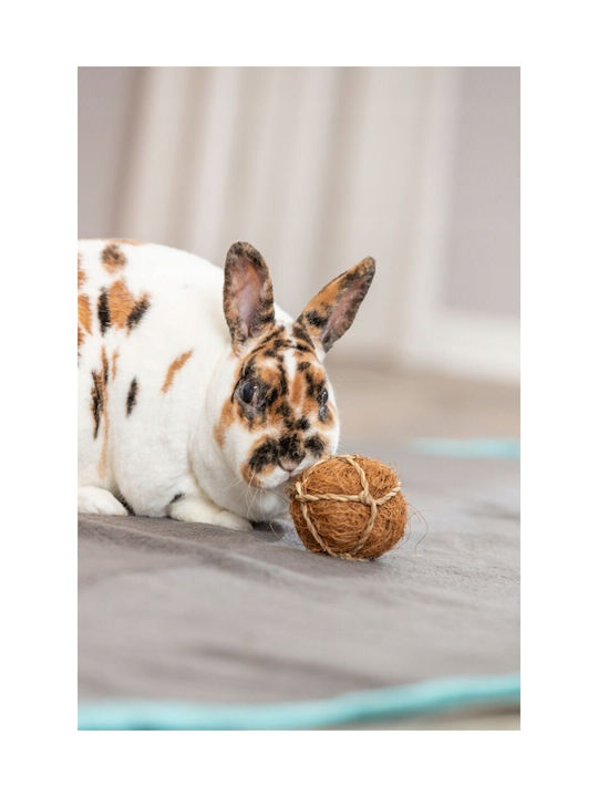 Trixie Glob de nucă de cocos pentru rozătoare 6 cm
