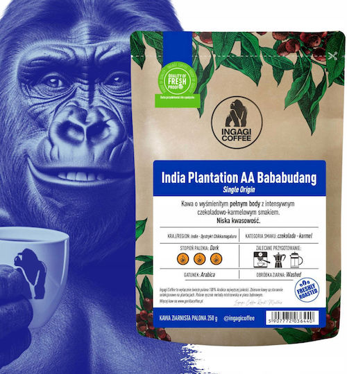 Kaffee Espresso Ingagi Indien Plantation Aa Bababudang 250g Bohnen