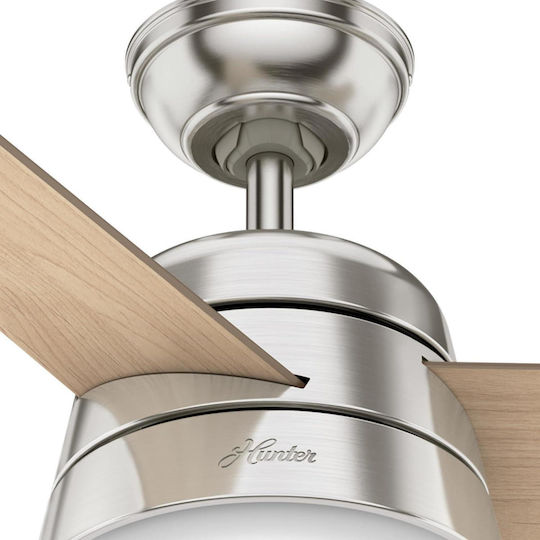 Hunter Finley Ceiling Fan 91cm With Light Brushed Chrome