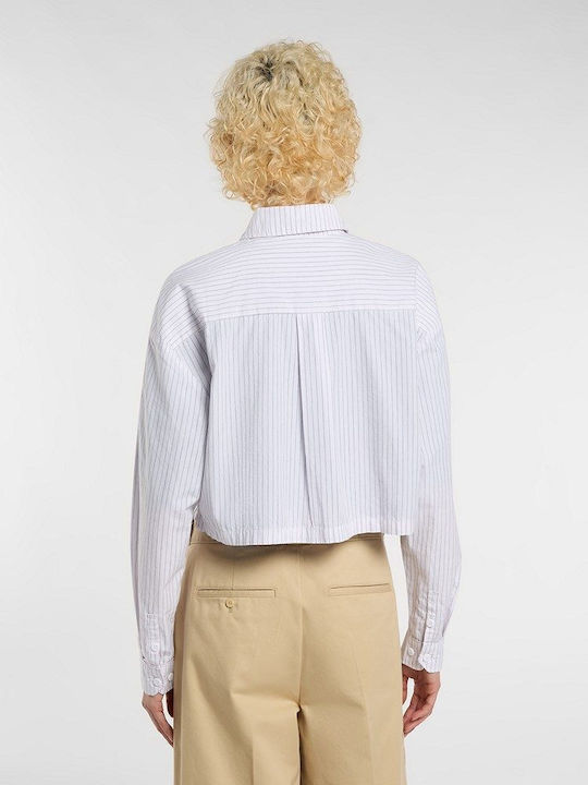 Dickies