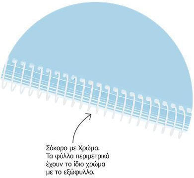 Metron Spiral Ruled Notebook 120 Paper Sheets 3 Subjects (Miscellaneous Designs)