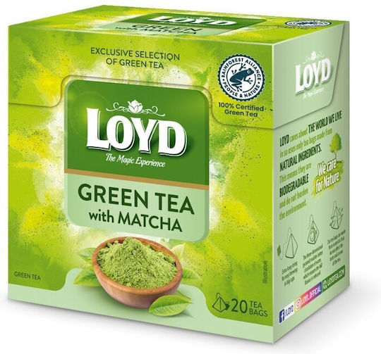 Loyd Tea Loyd Matcha Pure 80 Pyramid Bags