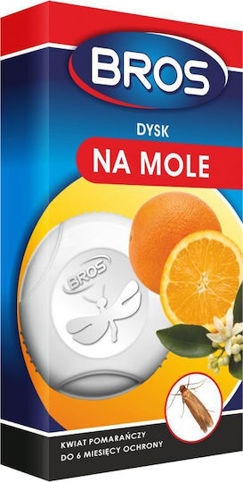 Maulwurf-Scheibe Orangenblüte