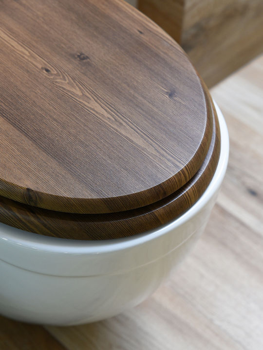AWD Interior Plastic Toilet Seat 45.5x37cm Brown