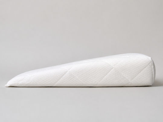 Danpol Perna Antireflux Pentru Bebeluși Memory Foam 38x40 cm Danpol Perna Antireflux Pentru Bebeluși Memory Foam 38x40 cm