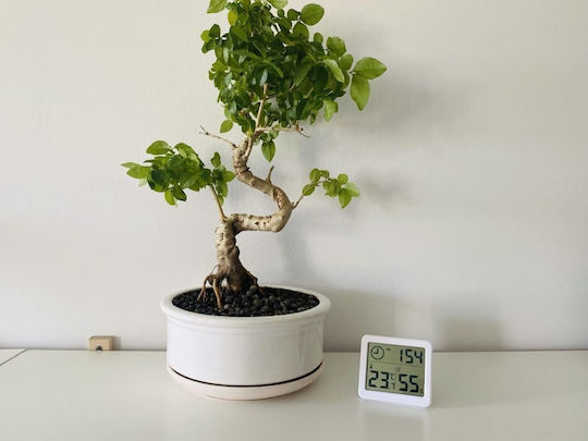 Sponge Digital Hygrometer for Indoor Use