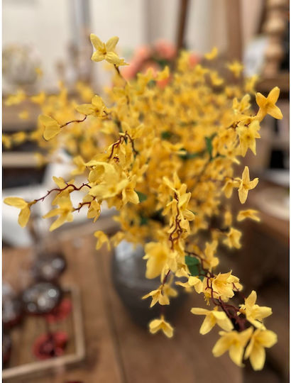Κλαδι Forsythia Κιτρινο 60m