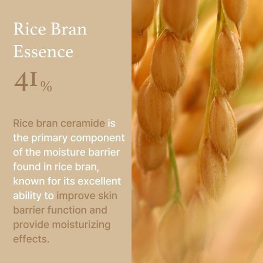 I'm From Rice Light Cream Face 50gr
