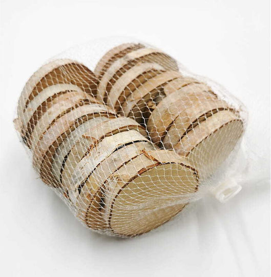 Birch Wood Slices Pack 20 Pieces