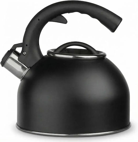 Altom Ceainic Inox 2700ml Altom Ceainic Inox 2700ml