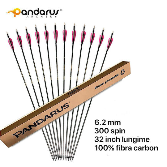 Set 6 Săgeți Arc Compus 6.2 Mm Tub Fibra De Carbon Spine 300 Lungime 32 Inch 27 Gr Săgeată Pandarus