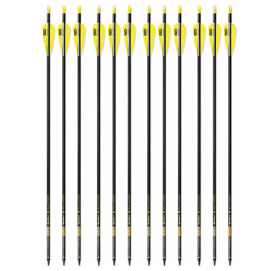 Set 12 Săgeți Arc Compound 6.2 Mm Ax Fibra De Carbon Spine 300 Lungime 32 Inch 27 Gr Săgeată Pandarus