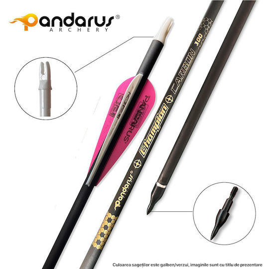 Set 3 Săgeți Arc Compus 6.2mm Ax Fibra De Carbon Spine 300 Lungime 32 Inch Pandarus