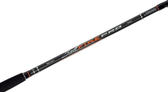 Colmic Pro Fishing Rod 2.4m 250-400gr
