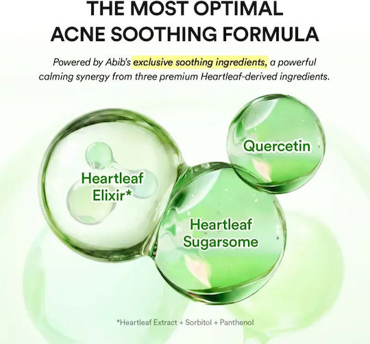 Touch Pads Facial Toning with Heartleaf Niacinamide & Panthenol 250ml