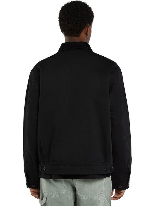 Dickies Dickies