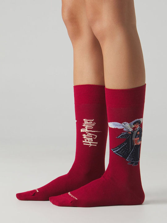 Jimmy Lion Socks Harry Potter Boy Who Lived E84225-harry Potter