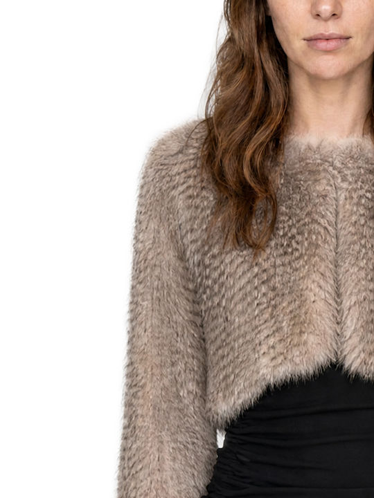 Short Women's Fur Black & Black Ecru-Beige W27B6172-One-Color