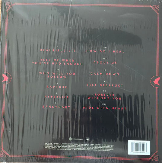 Evanescence Sanctuary Vinyl Vinyl All Media