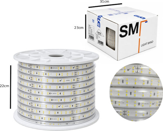 LED Strip 100m SMD2835 Type
