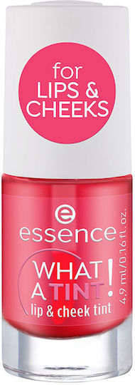 Essence Was Flüssiges Rouge & Blush