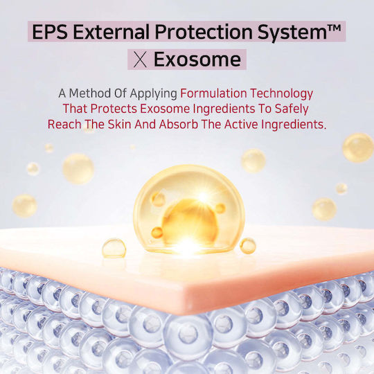 APLB Exosome Collagen Cream Face 55ml