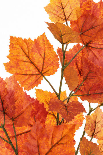 Клон Grapevine Оранжеви Листа 0x0x70см Едноцветен Evergreens