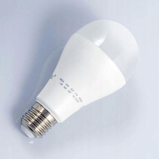 Best Service LED Glühbirne 17W für E27 Glühbirnensockel und Form A65 1750 Lumen