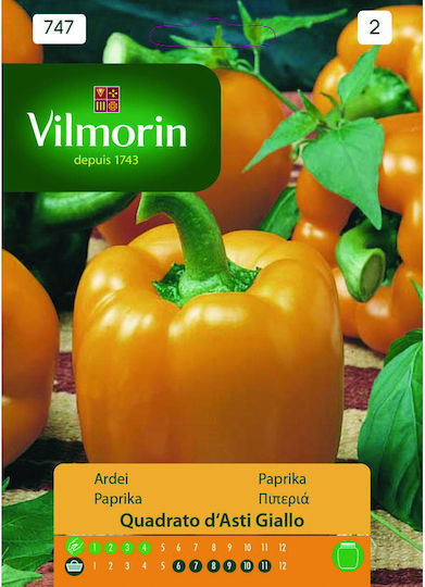 Vilmorin Samen Paprika Schwarz