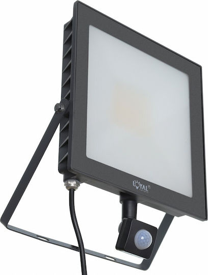 Loyal Lighting Водоустойчив LED Прожектор 50W Неутрално Бяло 4000K с Датчик за Движение IP65