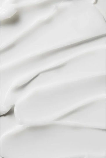 Dermafirm Intensive Repair Licht Creme Gesicht mit Centella Asiatica 15gr