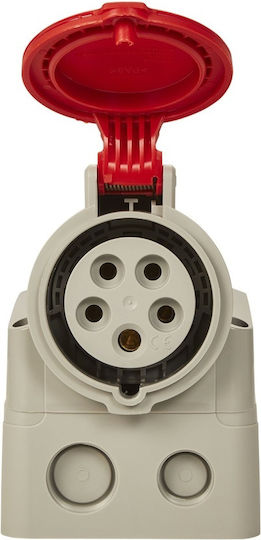 Industrial Socket Legrand Cee 16A 5 Poles 3p+n+pe 400V IP44 Protection IK09 Contact Position 6h Wall Mount Red Laboratories Construction Works Three-phase Industrial Applications