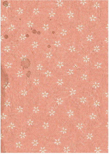 Set of 8 Decoupage Rice Papers Backgrounds Stamperia 10.5×14.8cm Cozy Family