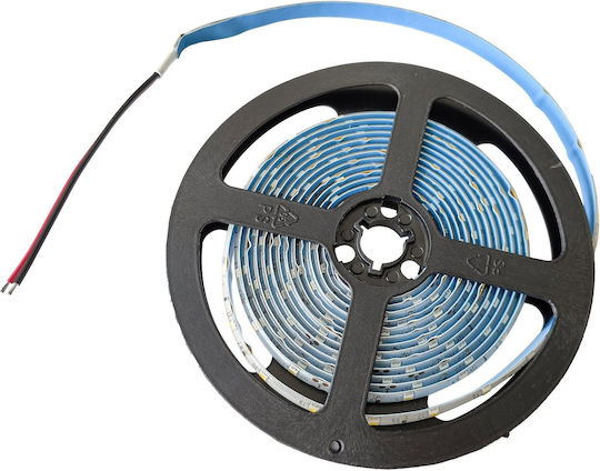 Kanlux Waterproof LED Strip 12V Warm White Light 3m SMD2835 Type