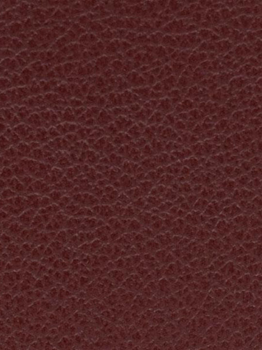 Hexagona Hexagona