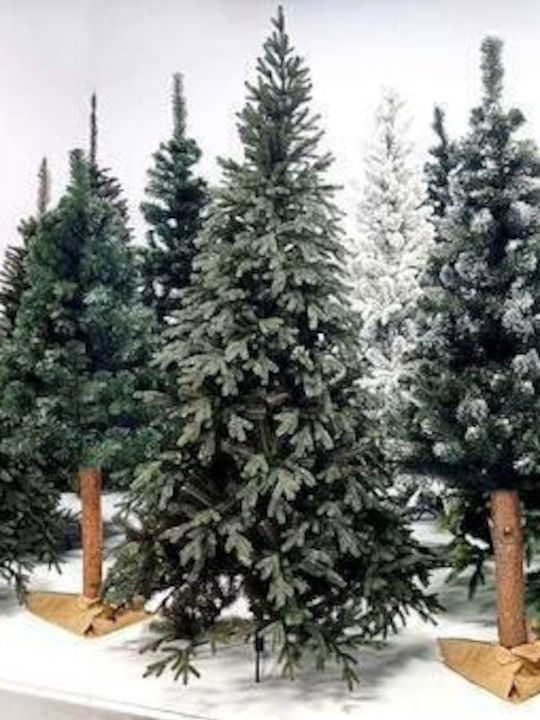 Weihnachtsbaum mit Kiefernkernen 180cm