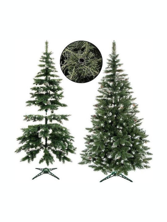 Weihnachtsbaum mit Kiefernkernen 180cm