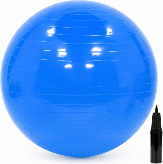 Toning Exercise Ball in Blue Colour