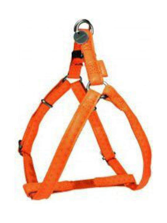 Zolux Mac Leder Hundegeschirre Verstellbares Hundegeschirr Leder 20 Mm Türkis