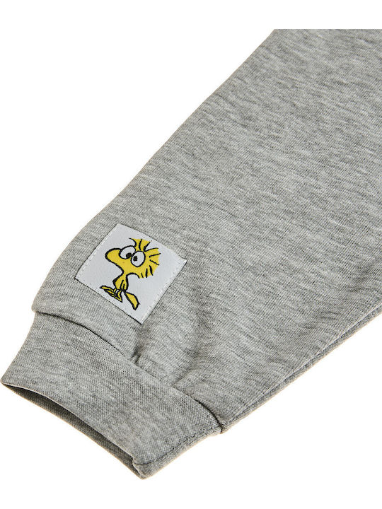 Peanuts Snoopy and Woodstock