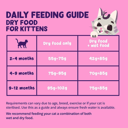 Edgard Cooper Fresh Dry Cat Food Grain-Free For Neutered Cats With Duck / Chicken / Meat 0.325kg