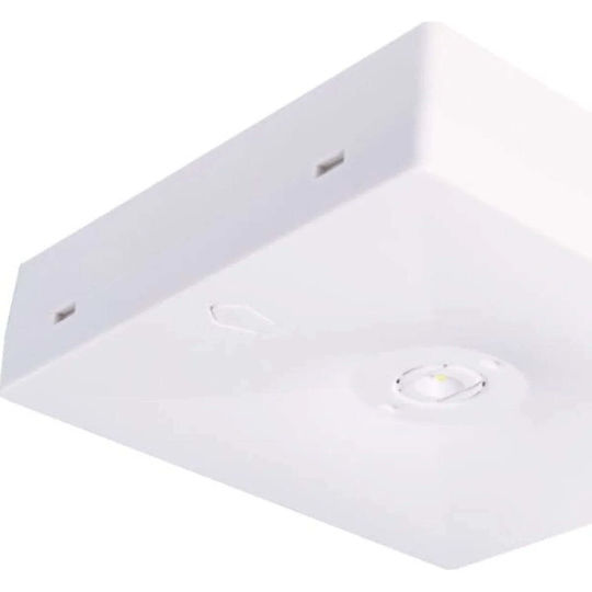 Intelight LED Осветително Тяло За Безопасност