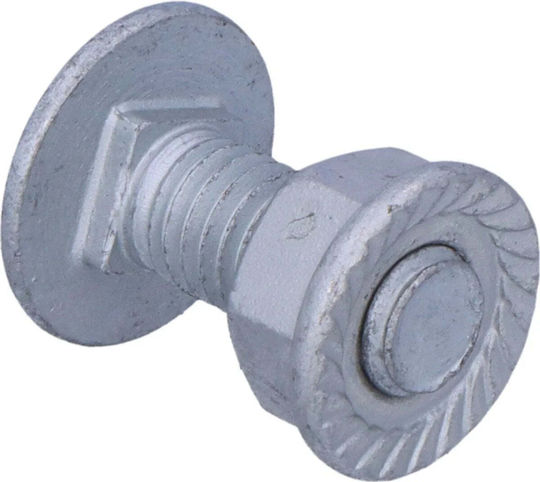BAKS Şurub Cu Lungime 20mm 1.62kg