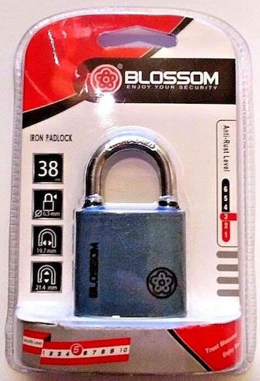 Blossom Steel Padlock Brass With Key 38mm Grey